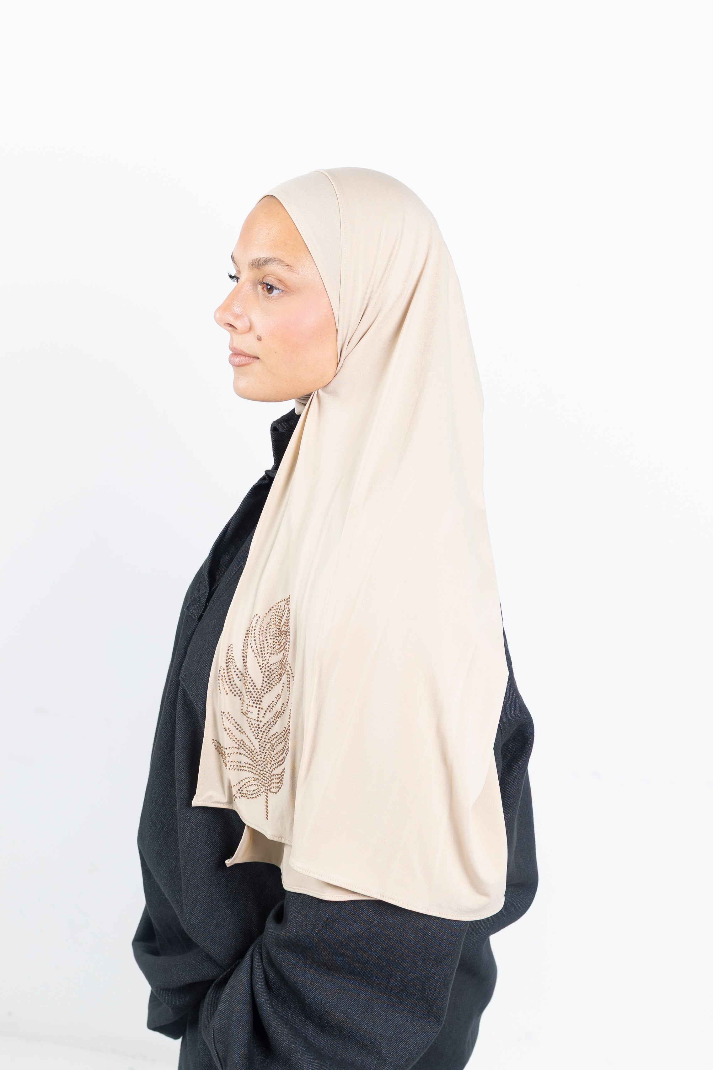 Grande plume Biscuit