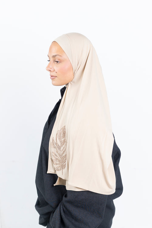 Grande plume Biscuit