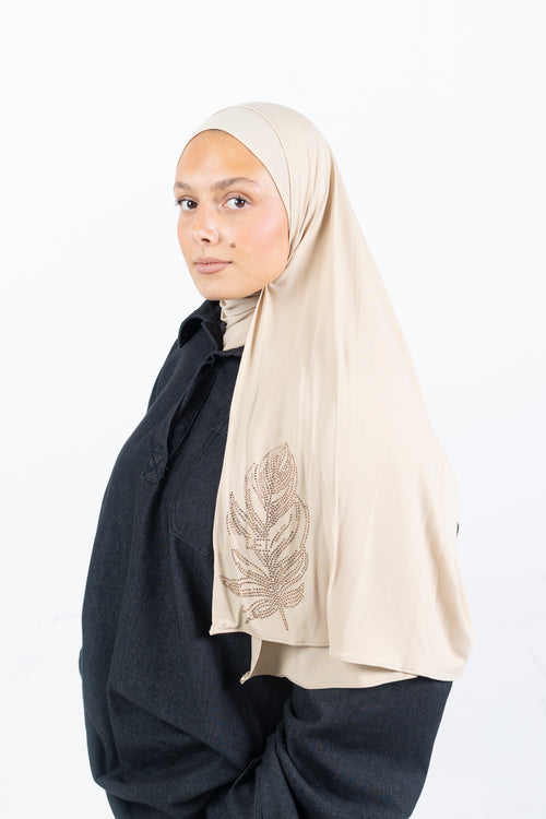 Grande plume Biscuit