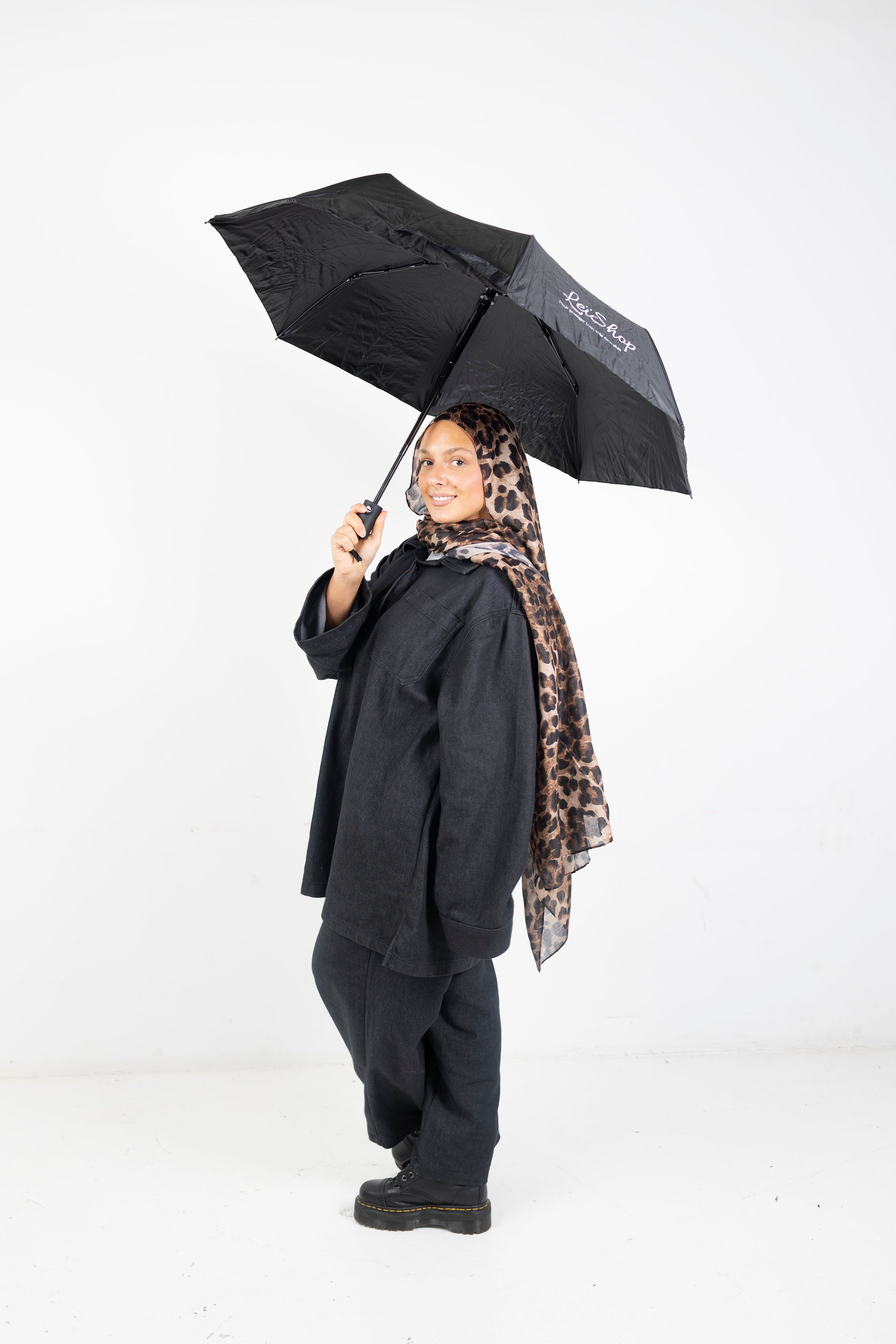 Le Parapluie